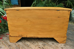 😍 Fantastic Old Antique (Georgian) Pine Blanket Chest/ Trunk/ Coffee Table 😍 - oldpineshop.co.uk