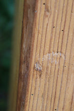 💕 WOW! Old Georgian! Shelved Pine Cupboard-Linen/ Larder/ Food/ Wardrobe 💕