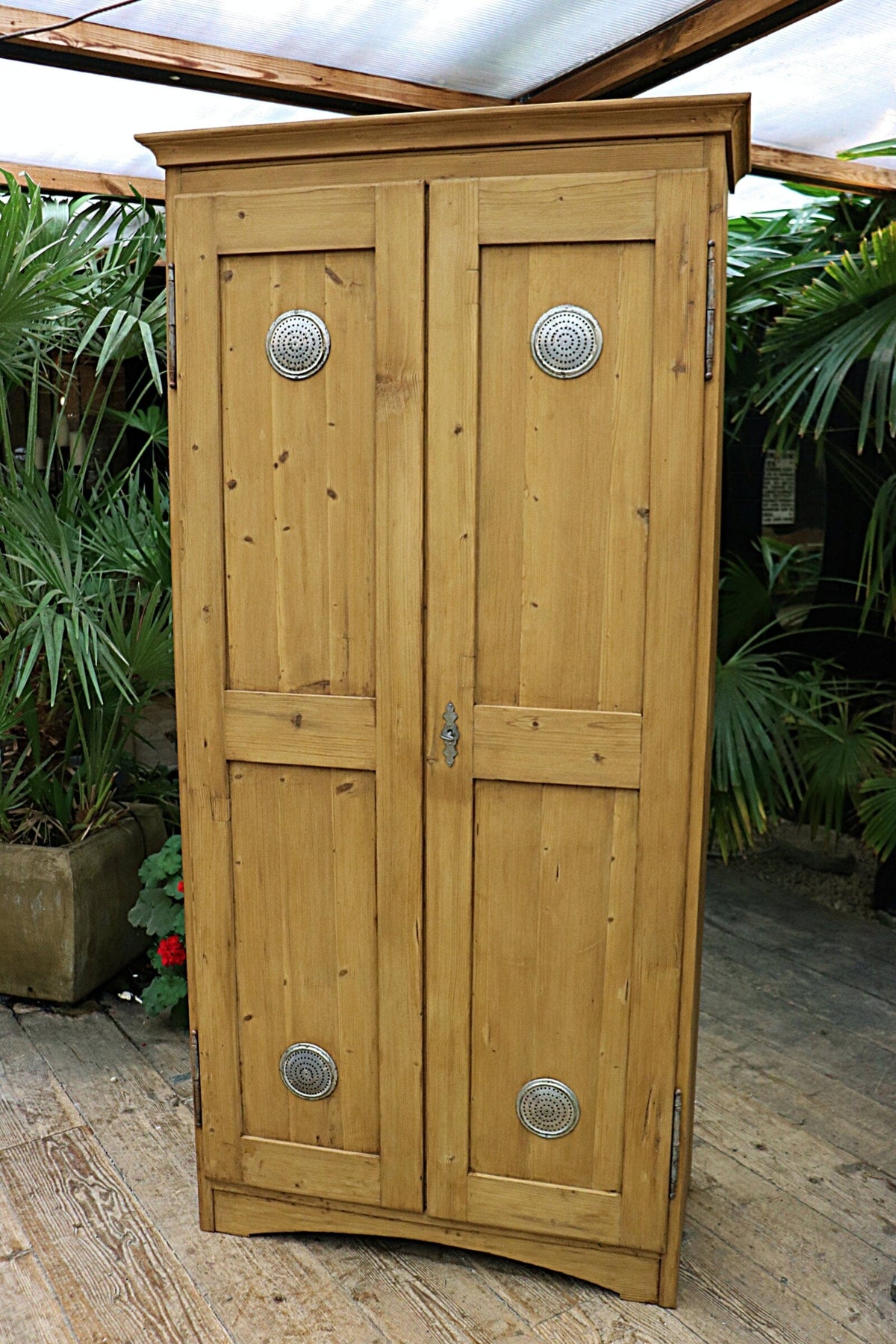 😍 Extra Tall! Shallow! Old Pine Cupboard-Linen/ Food/ Larder/ Housekeepers 😍