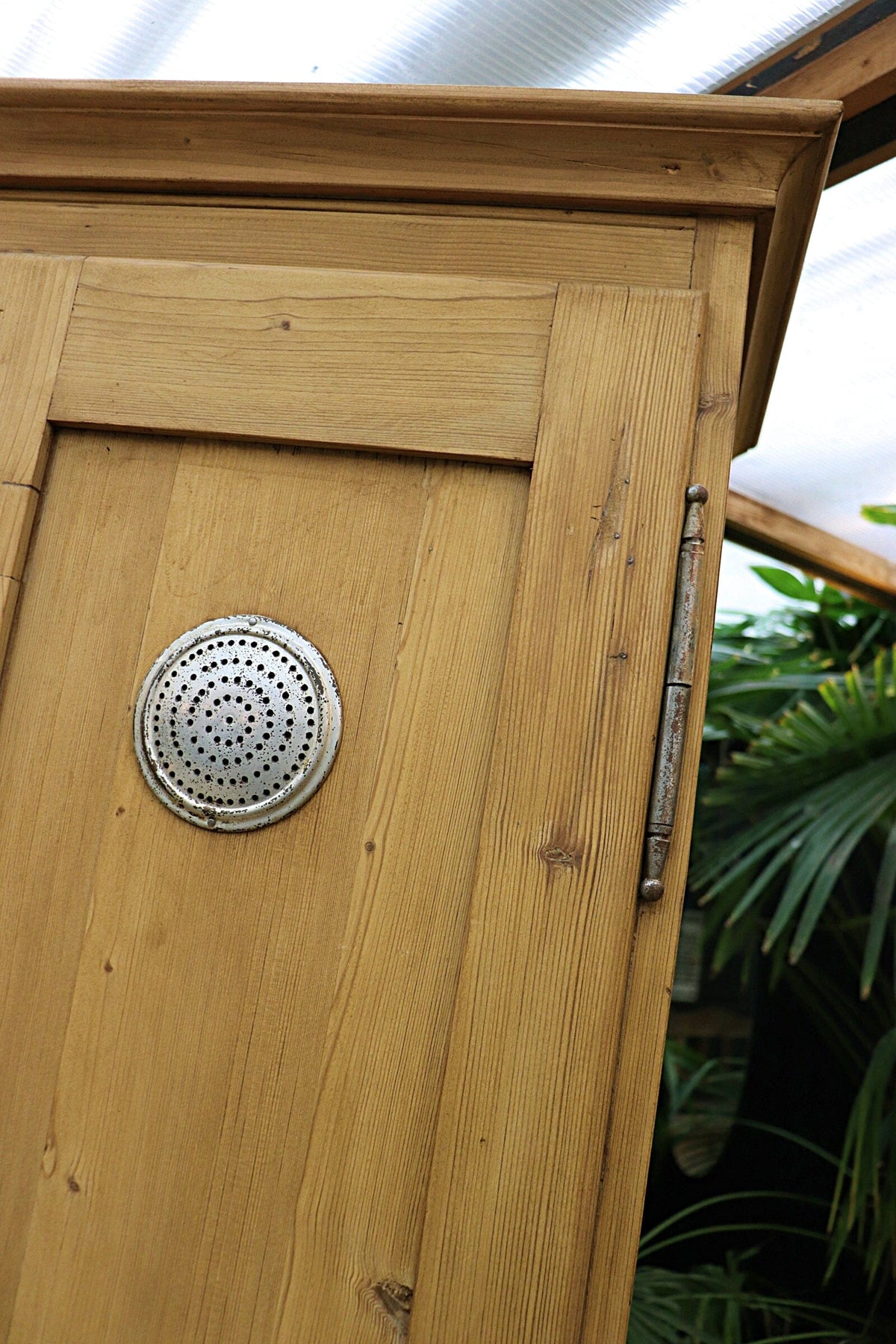 😍 Extra Tall! Shallow! Old Pine Cupboard-Linen/ Food/ Larder/ Housekeepers 😍
