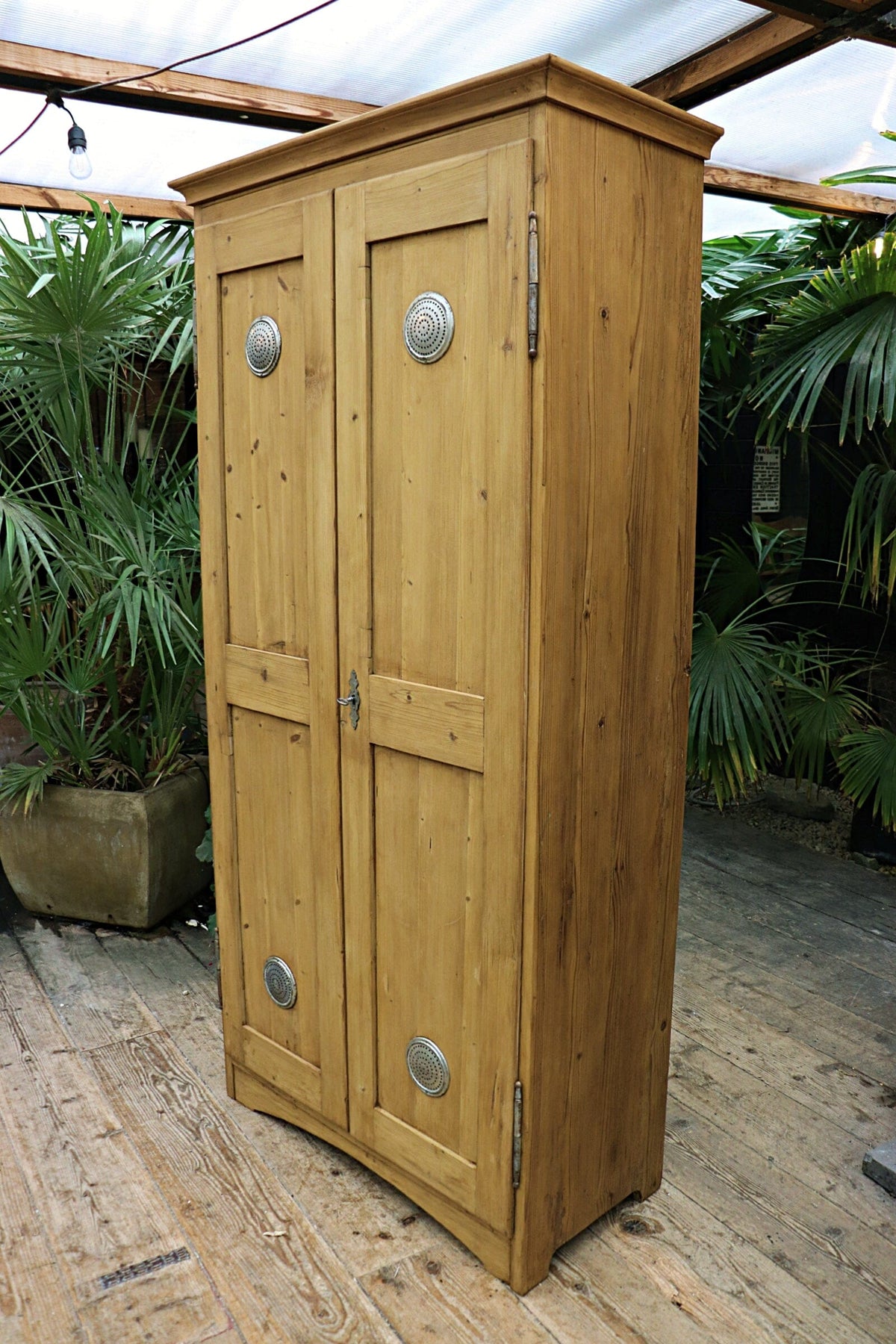 😍 Extra Tall! Shallow! Old Pine Cupboard-Linen/ Food/ Larder/ Housekeepers 😍