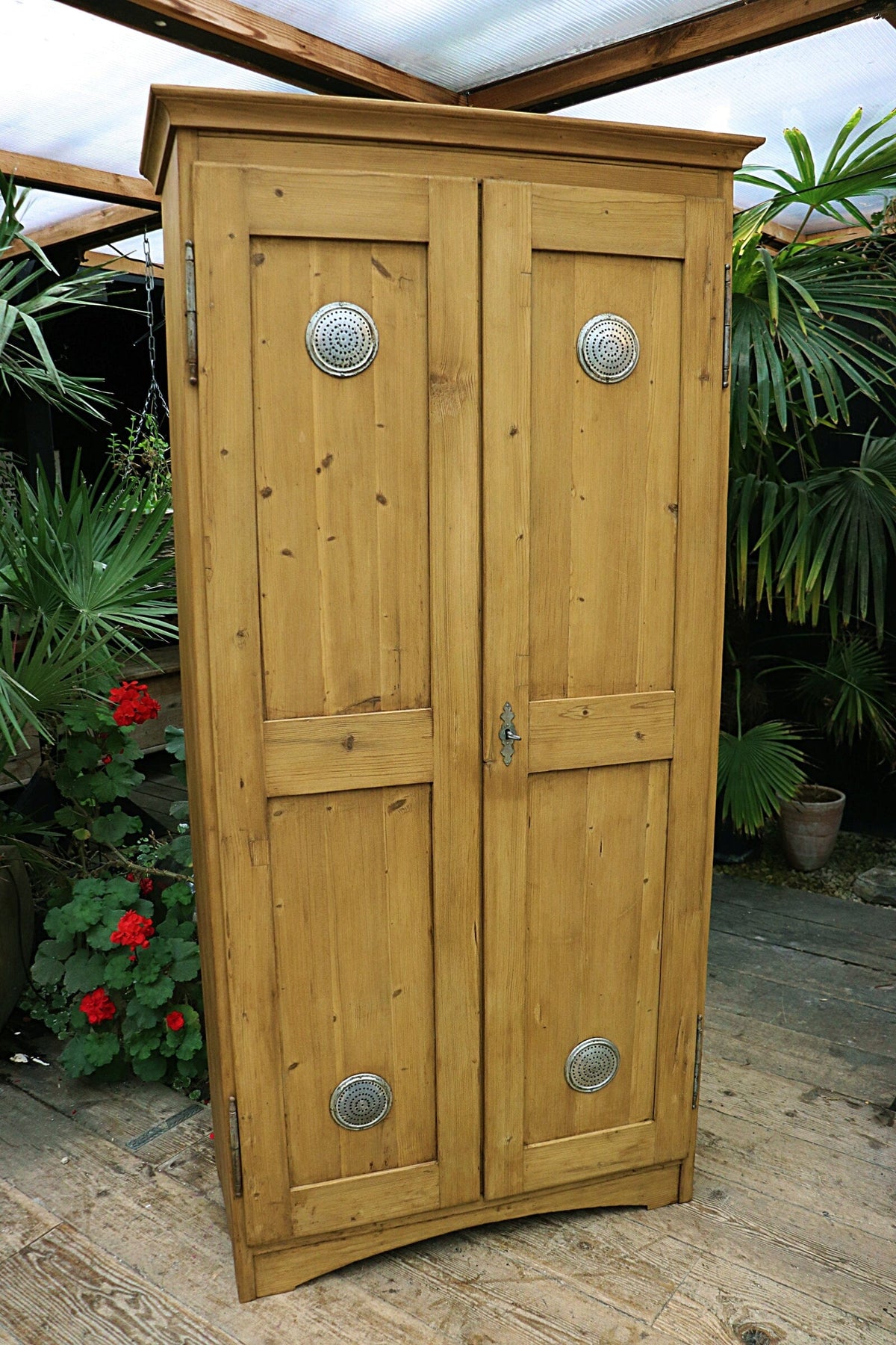 😍 Extra Tall! Shallow! Old Pine Cupboard-Linen/ Food/ Larder/ Housekeepers 😍